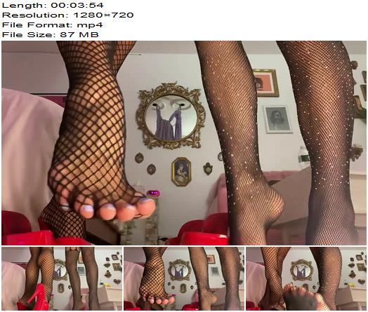 Misswhip  Hot Mean Duo with Pretty Feet in Fishnet preview