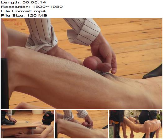 Mistress Evilyne  A dungeon Manor Production 283 preview