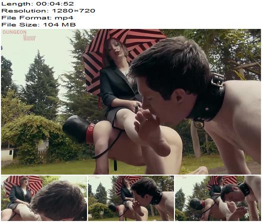 Mistress Evilyne  A dungeon Manor Production 297 preview