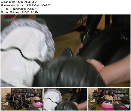 Mistress Evilyne  A dungeon Manor Production 384 preview