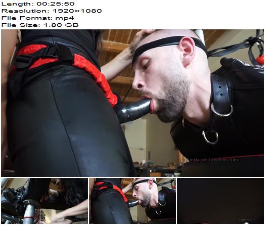 Bondage Liberation  Elise Graves  Leather Fuck Toy preview