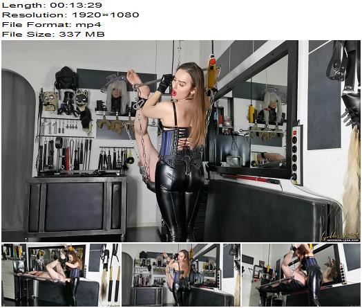 Evil Woman I Fuck You Until You Scream preview