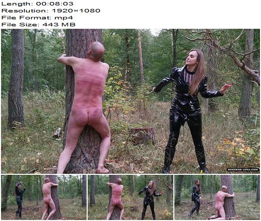 Goddess Lena  Brutal punishment with the whip preview