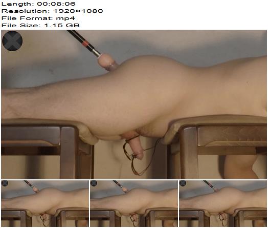 InstitutionX Ruthless Prostate Stimulation by Powerful Fucking Machine While Getting His Cock and Balls Electrocuted preview