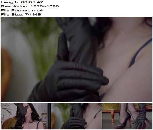 Miss Ellie Mouse  Leather gloves ASMR preview