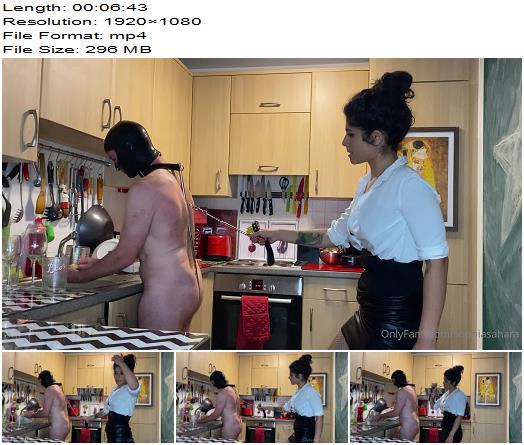 Mistress Sophia Sahara  Inspecting My Kitchen Bitch Anal Hook And Collar Tigh preview