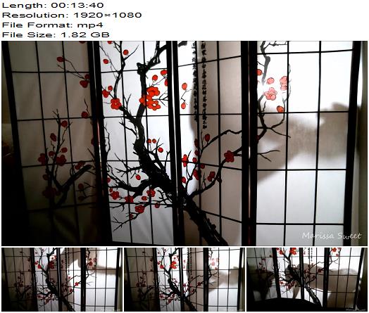 Marissa Sweet Behind The Screen preview