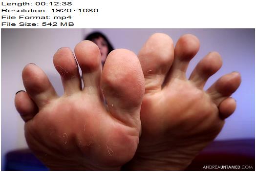 Miss Untamed  Matthews Foot Gifts preview