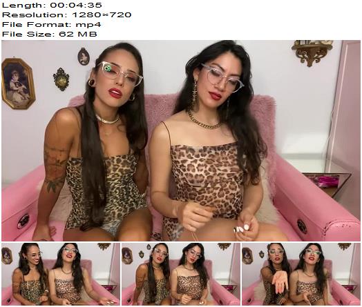 Misswhip  Laughing at and Measuring Your Tiny Dick preview