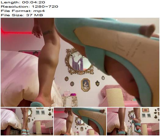 Misswhip Legs Ass High Heels for SHOE SLUTS preview