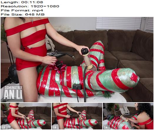 Mistress An Li The Gimp That Stole Christmas Part II preview