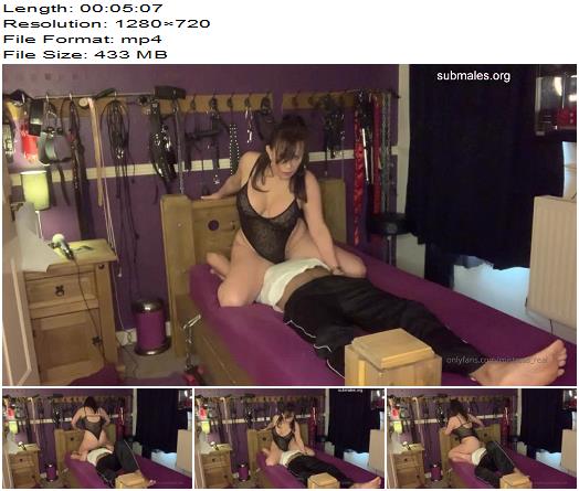 Mistress Real You Will Do Anything For My Ass preview