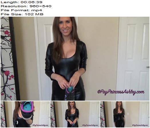 Princess Ashley Shoe Fucking Faggot preview