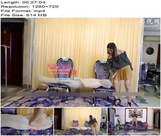 Chinese Mistress 317 preview