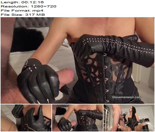 GloveMansion  Fetish Liza  Leather gloves aphrodisiac preview