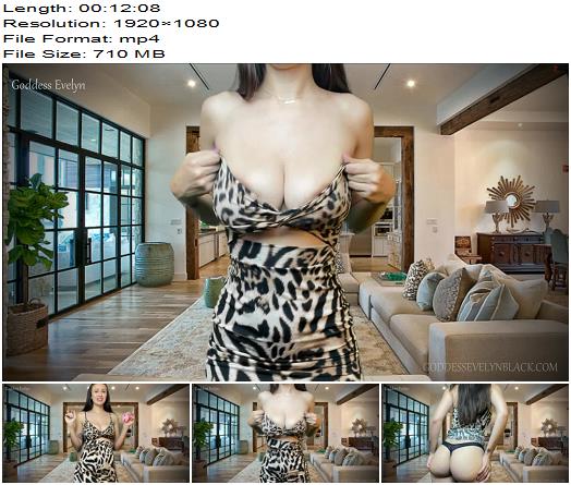 Goddess Evelyn  Your Cock Is Grounded preview