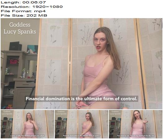 LucySpanks  FINDOM IS FOREVER preview