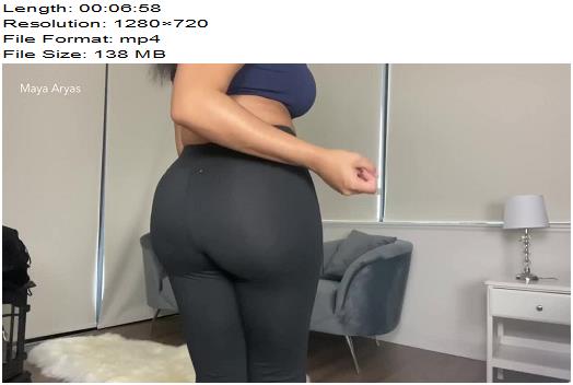 MayaAryas My Personal Wallet preview