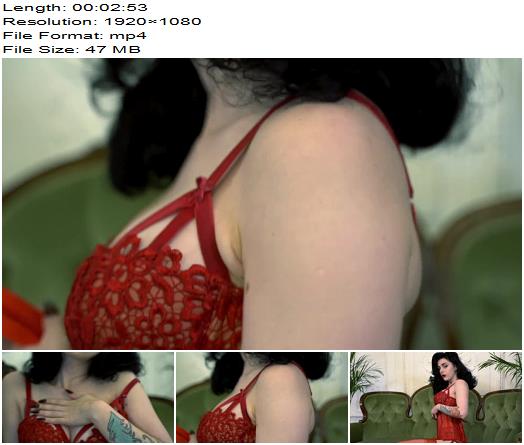 Miss Ellie Mouse  I Love Red Vintage Corsets preview