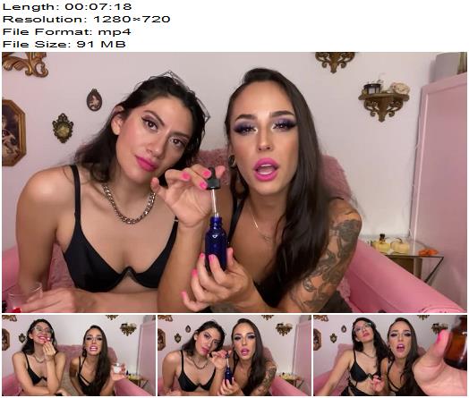 Misswhip  Dose for Us Become Braindead preview