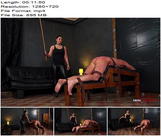 Mistress Darkness  Tawse Cane And Belt preview