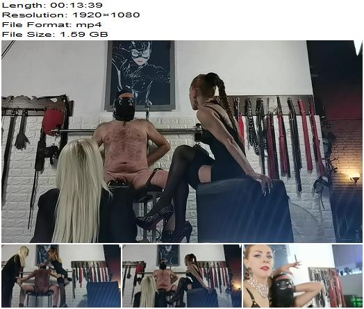 Mistress Regina Reginamilanodom CBT Forc Coming With Two Female Bosses preview