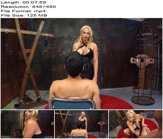 The Venus Girls Making The Cock Cum 1 preview