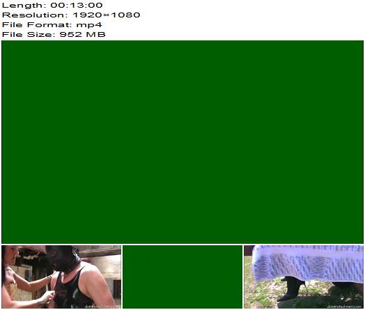 Amator  Pony Boy Training preview