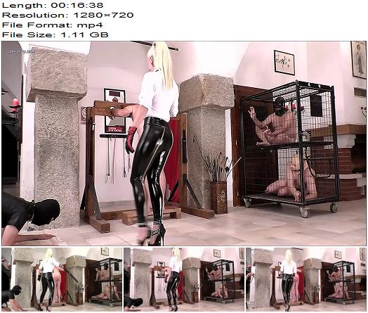 Domina Patricia  Whipped And Caned For My Fun preview