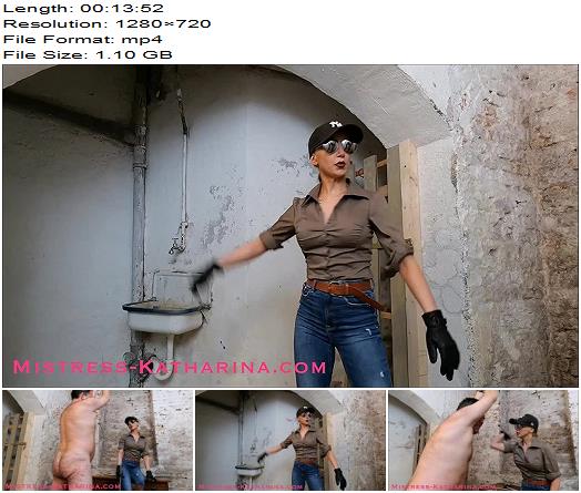 Harsh Caning without a Reason Vol 1 preview