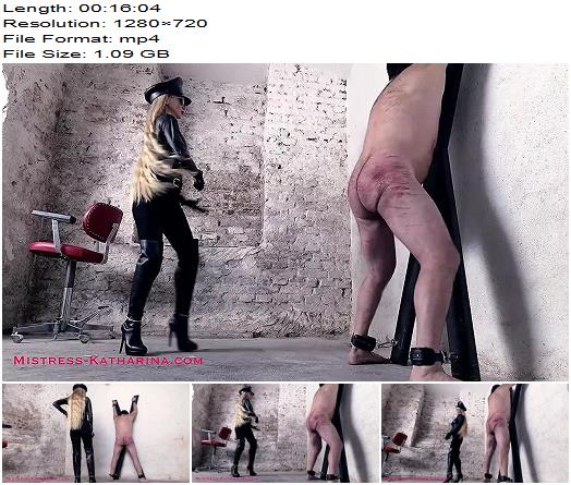 Institute of Discipline  A Harsh Caning without a Reason Vol 3 by Mistress Katharina preview