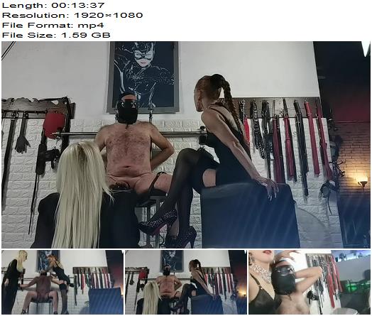 Regina Milano Dom  CBT Force Coming With 2 Female Bosses preview