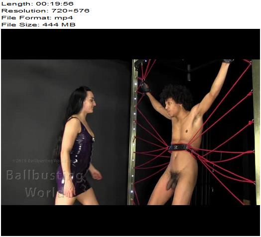 Ballbusting World PPV  Viciously ballbusted by Chloe in Latex BB1266 preview