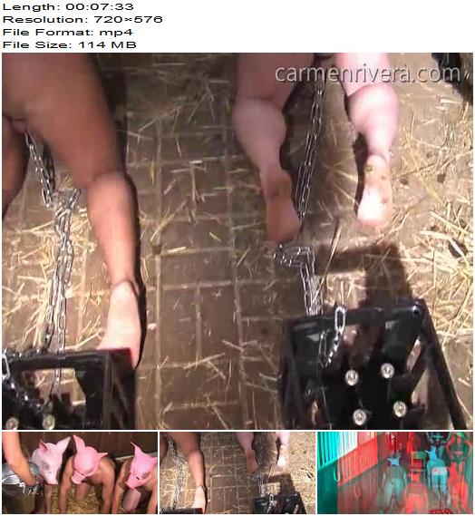 Carmen Rivera Entertainment  Carmen Rivera  Donkey Boys Riding Lesson Part 2 Part 4 preview