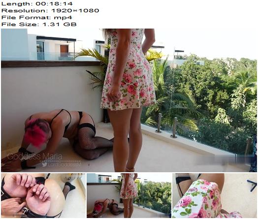 Lord Goddess Maria Slavecation Day 5 Destroying My Slaves Balls preview