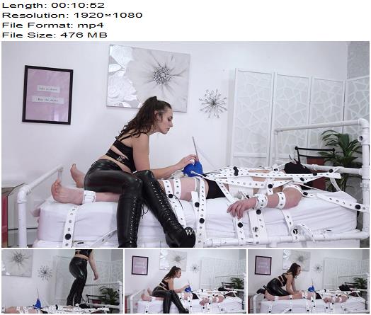 Lucid Lavender  Vetting My New Boyfriend preview