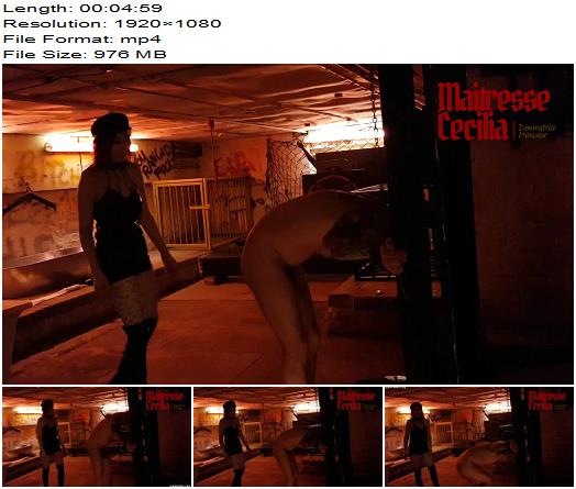 Maitresse Cecilia  Ballbusting First Time Trampledangel preview