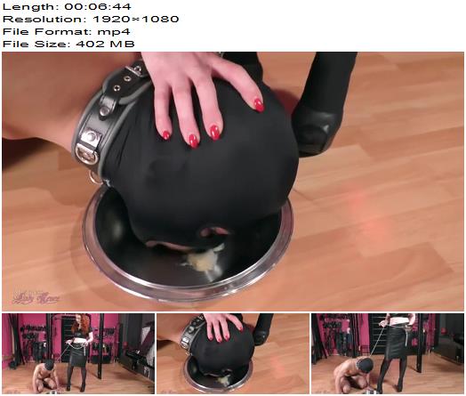 Mistress Lady Renee  Feeding the doggy preview