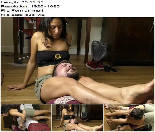 Reality Girls Scissors Celestial Introduces Varsity preview