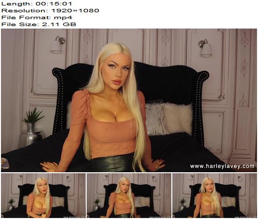 Harley LaVey  Losers Cum Hands Free preview