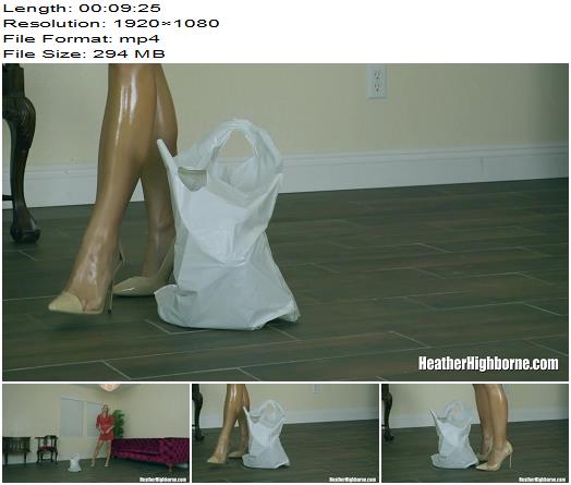 Heather Highborne Fucking Garbage Literally preview