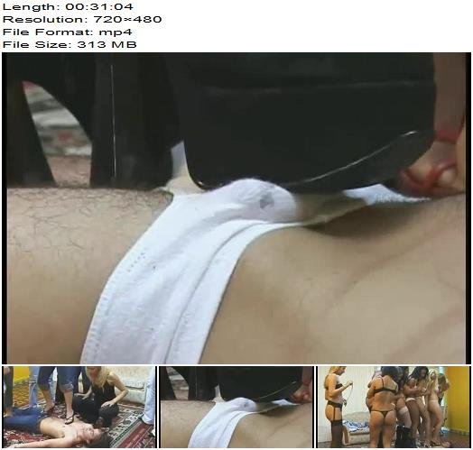 Mfx 393 Full Version preview