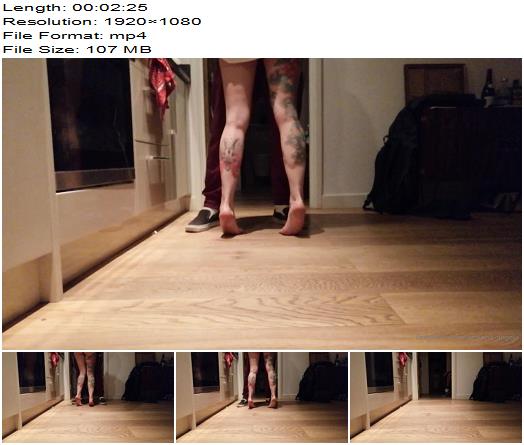 Mistress Adreena  Adreena Angela  Cuckold You Asked For It preview