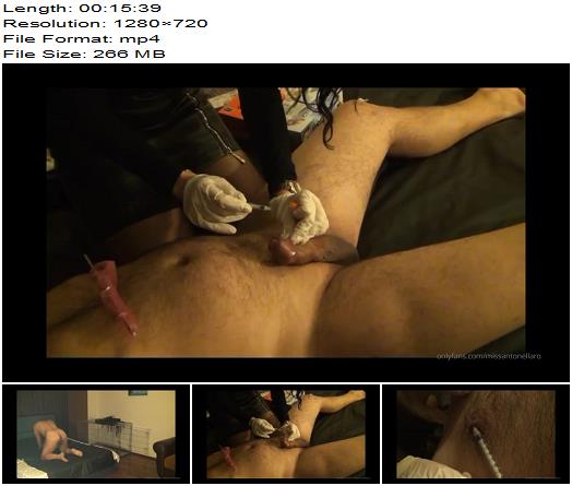 Mistress Antonella  Mistress Antonella Becomes To Be Doctor Antonella preview