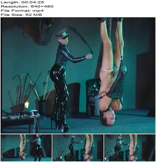 OWK FILM  OWKS1031 Whipping  Extreme Electric Whipping preview