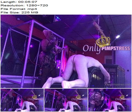Only Pimpstress  Mistress Thick  Your Merciless Leather Goddess Part 2 preview