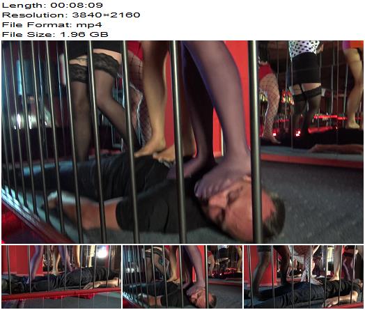 Femdom Austria  Trampling Jumping Show In Fetish Club preview