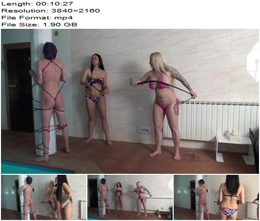 Femdom Austria  Whipped The Whipping Boy On The Pillar preview