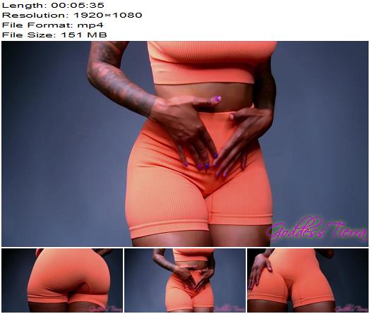 Goddess Tierra  Pussy Free Loser preview