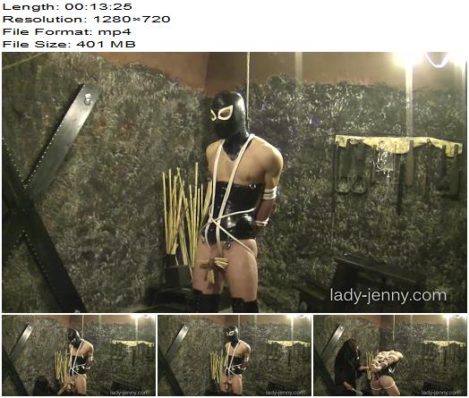 Lady Jenny  Bondage and Pain preview